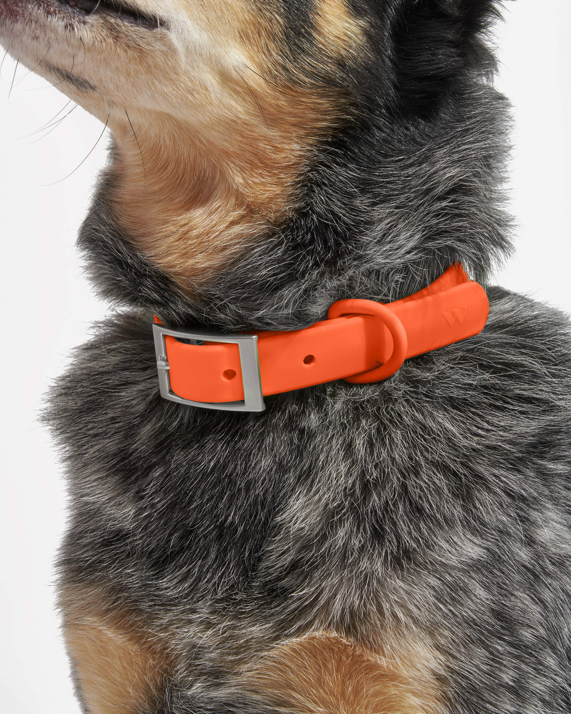 Product image 84
